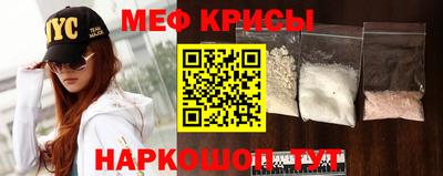 ешки Кингисепп