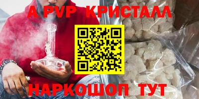 ешки Кингисепп