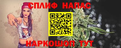 ешки Кингисепп