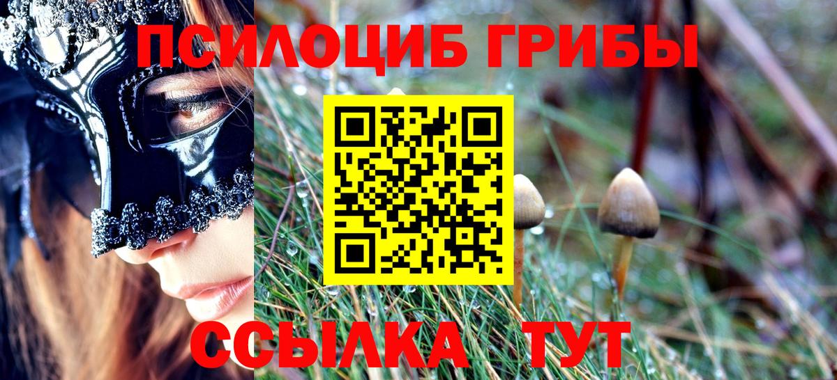 Галлюциногенные грибы Cubensis  Галлюциногенные грибы Psilocybine cubensis  Вход с VPN  Костомукша 